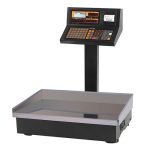 ترازوی 70 کیلویی رادین مدل 8800Plus