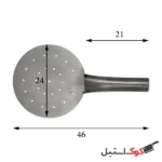 کفگیر چوب خور بزرگ کاکتوس