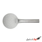 کفگیر چوب خور کوچک کاکتوس