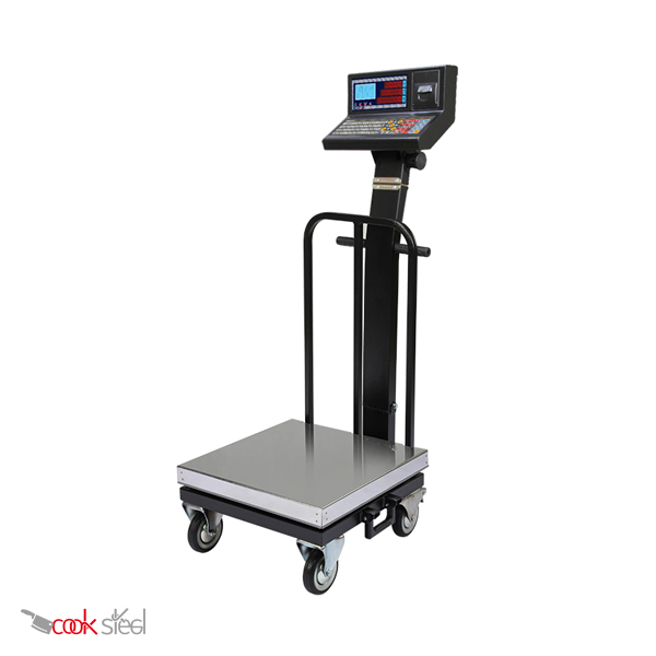 ba-1040-weighbridge باسکول 200 کیلویی چرخدار محک مدل 13000 پلاس پرینتردار سینی استیل