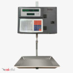 ترازوی 30 کیلویی توزین صدر LSG 19
